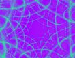 Spider Web