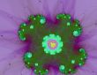 Violet Flower