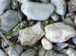 Close up of Garden Stones