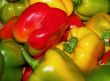Peppers Fresh From the Farm