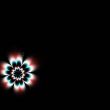 Daisy with copyspace