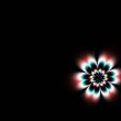 Daisy with copyspace