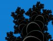 Tree siloutte and sky