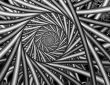 Steel Spiral
