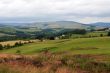 Lanscape near Selkirk