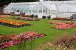 Greenhouses