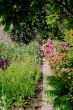 Priorswood Garden
