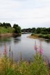 River Tweed in Coldstream.