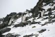 Three Adelie penguins climbing