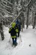 Yellow parka, snowshoe hikers