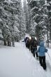 Light blue parka, snowshoe hikers