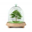 Protect Nature 01