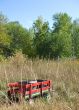 Forgotten Little Red Wagon
