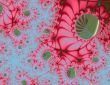Red flowers