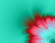 Floral background