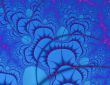 Blue Mushrooms