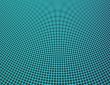 Fishing Net