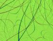 Green Leaf