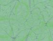 Green Leather
