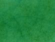 Green Leather
