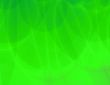 Grass Lands