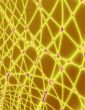 golden Net