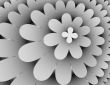 flower Petals