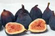 Fig fruit