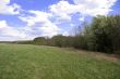 Green meadow