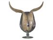 Horns in a glass over white