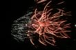 Night fireworks upon dark sky