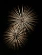 Night fireworks upon dark sky