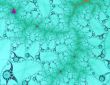 Coral Reef