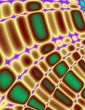Colored Glass