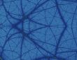 Spider Web