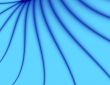 Blue Petal