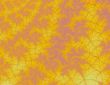Autumn Leaves