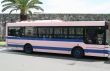 Pink and Blue Bus