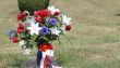 Red White and Blue Flowers