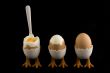 birdfeet with eggs