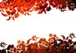 floral style backgrounds frame