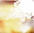 floral style backgrounds frame