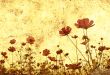 old-fashioned flower