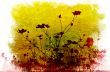 floral style textures
