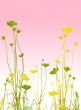 floral style textures