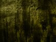 Great for textures and backgrounds