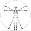 skeleton