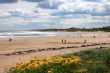 Beach at Alnmouth