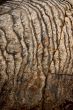 Rock patterns