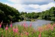 River North Tyne at Bellingham